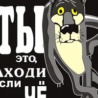 стая москва
