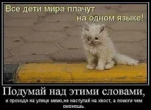 слабонервним