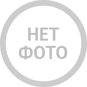 поводи поводи