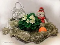 Сортові фіалки, фуксії, пеларгонії, абутилони, шлюмбергери шлюмбергери