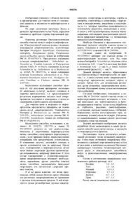 засилване засилване