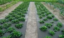 средства защита