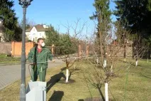 Соверен - Обприскування дерев плодових, фруктових - яблунь, слив, груш від шкідників - Легка справа обприскування
