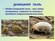 акари най-добрите