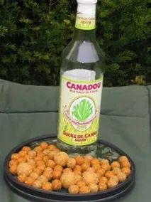 Способи коропової насадки коропової
