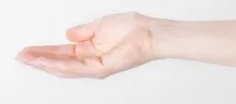 созаемщики