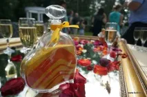 Весільний Хабаровськ - Ведучий Дмитро Колбін, Провідні весілля ведучий