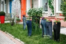 Весільний Хабаровськ - Ведучий Дмитро Колбін, Провідні весілля хабаровськ