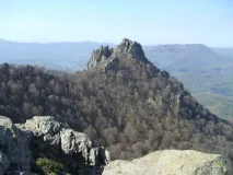 індик