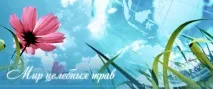 Свічки № 4 При безплідді, ЯКО-ФІТОСВІЧІ, Світ цілющих трав свічки