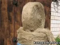 konopatka konopatka