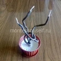 топіарій