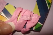 рафия рафия