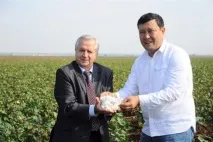 Узбецькі чоловіки не обіймають дружин на людях чоловіки