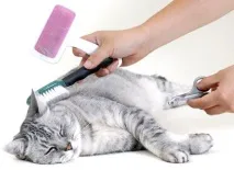 котки котки