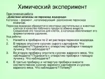 Урок хімії у 10 класі на тему Ферменти хімії