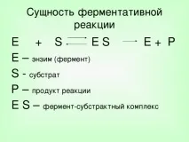 Урок хімії у 10 класі на тему Ферменти класі