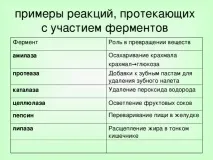 Урок хімії у 10 класі на тему Ферменти класі