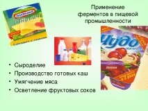 Урок хімії у 10 класі на тему Ферменти тему