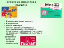 Урок хімії у 10 класі на тему Ферменти хімії