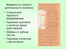 Урок хімії у 10 класі на тему Ферменти класі