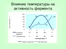 Урок хімії у 10 класі на тему Ферменти класі