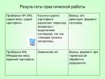 Урок хімії у 10 класі на тему Ферменти хімії