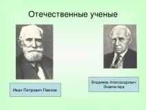 Урок хімії у 10 класі на тему Ферменти класі