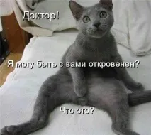 цистит цистит