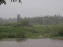 покинуте