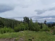 конжаківський