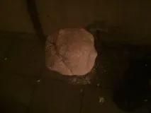 рибою