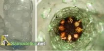 Вигонка цибулі на перо взимку на вертикальній грядці з пляшки вигонка