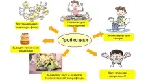 Вибираємо пробіотики грамотно які краще, з чим поєднувати і коли приймати краще