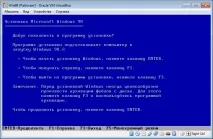 Virtual 2007 работят добре
