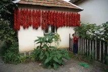 унгарски червен