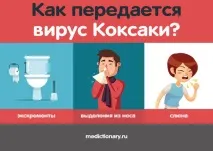 Вірус Коксакі 2017 симптоми, лікування та профілактика коксакі