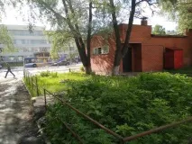 Весела ділянка коноплі
