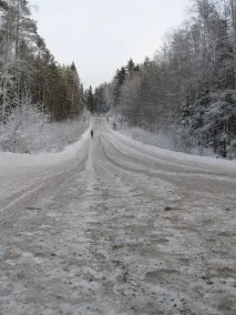 зимни гуми