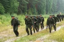 ведення