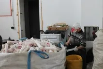 скандала медицински