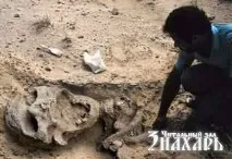 състезание Материалния свят