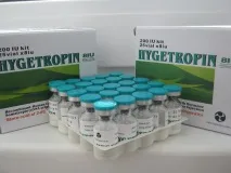 день