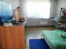 търговци джубга