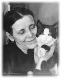 котката фалшива