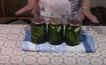 зимата селекция