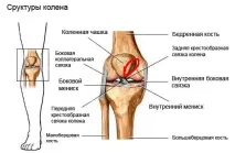 баскетболистите баскетболистите