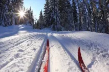 Заміський оздоровчий центр «Космос» центр