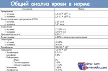 еритроцитів