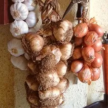 Зберігання цибулі в косах цибулі